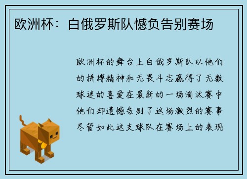 欧洲杯：白俄罗斯队憾负告别赛场