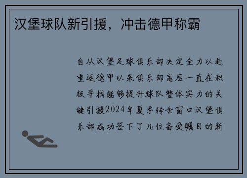 汉堡球队新引援，冲击德甲称霸