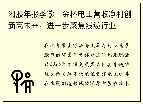 湘股年报季⑤｜金杯电工营收净利创新高未来：进一步聚焦线缆行业