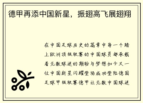 德甲再添中国新星，振翅高飞展翅翔