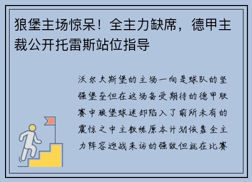 狼堡主场惊呆！全主力缺席，德甲主裁公开托雷斯站位指导