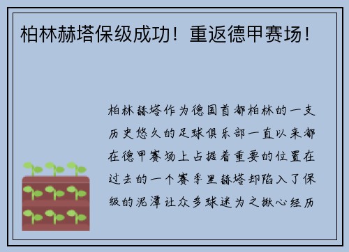 柏林赫塔保级成功！重返德甲赛场！