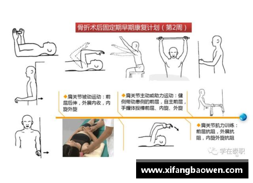 球员枕骨骨折：危险源与康复策略